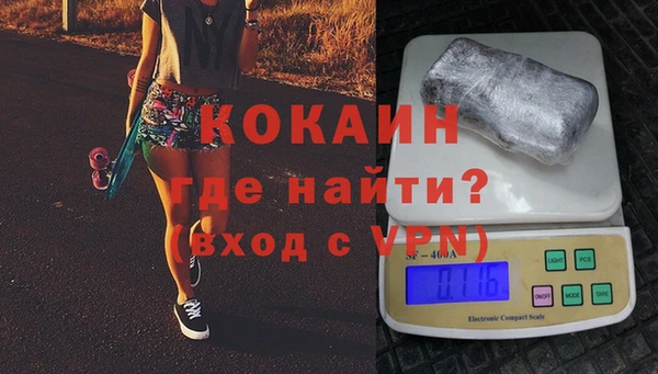 Альфа ПВП Верея