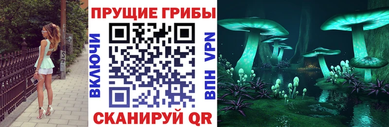ОМГ ОМГ ССЫЛКА Курск Галлюциногенные грибы Psilocybe